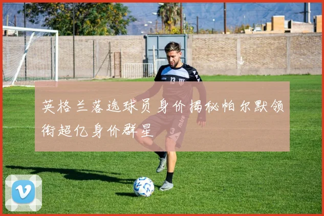 英格兰落选球员身价揭秘帕尔默领衔超亿身价群星
