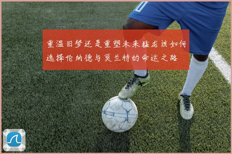 重温旧梦还是重塑未来猛龙该如何选择伦纳德与莫兰特的命运之路